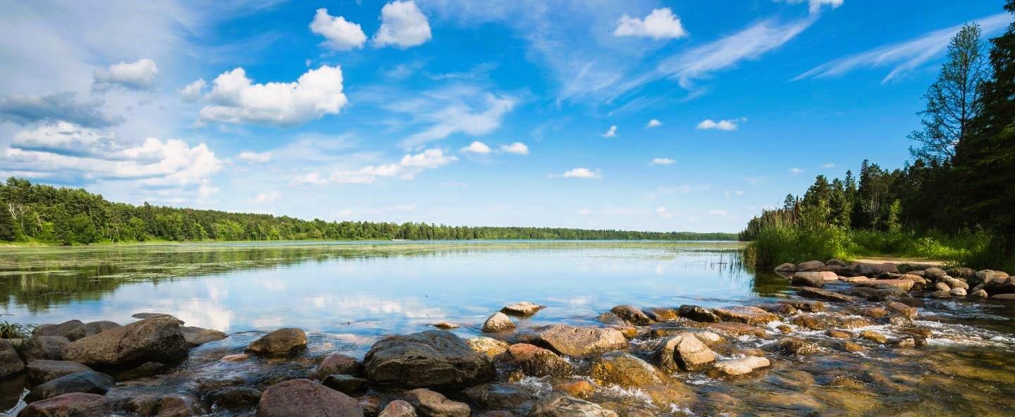 View of a pond and shoreline